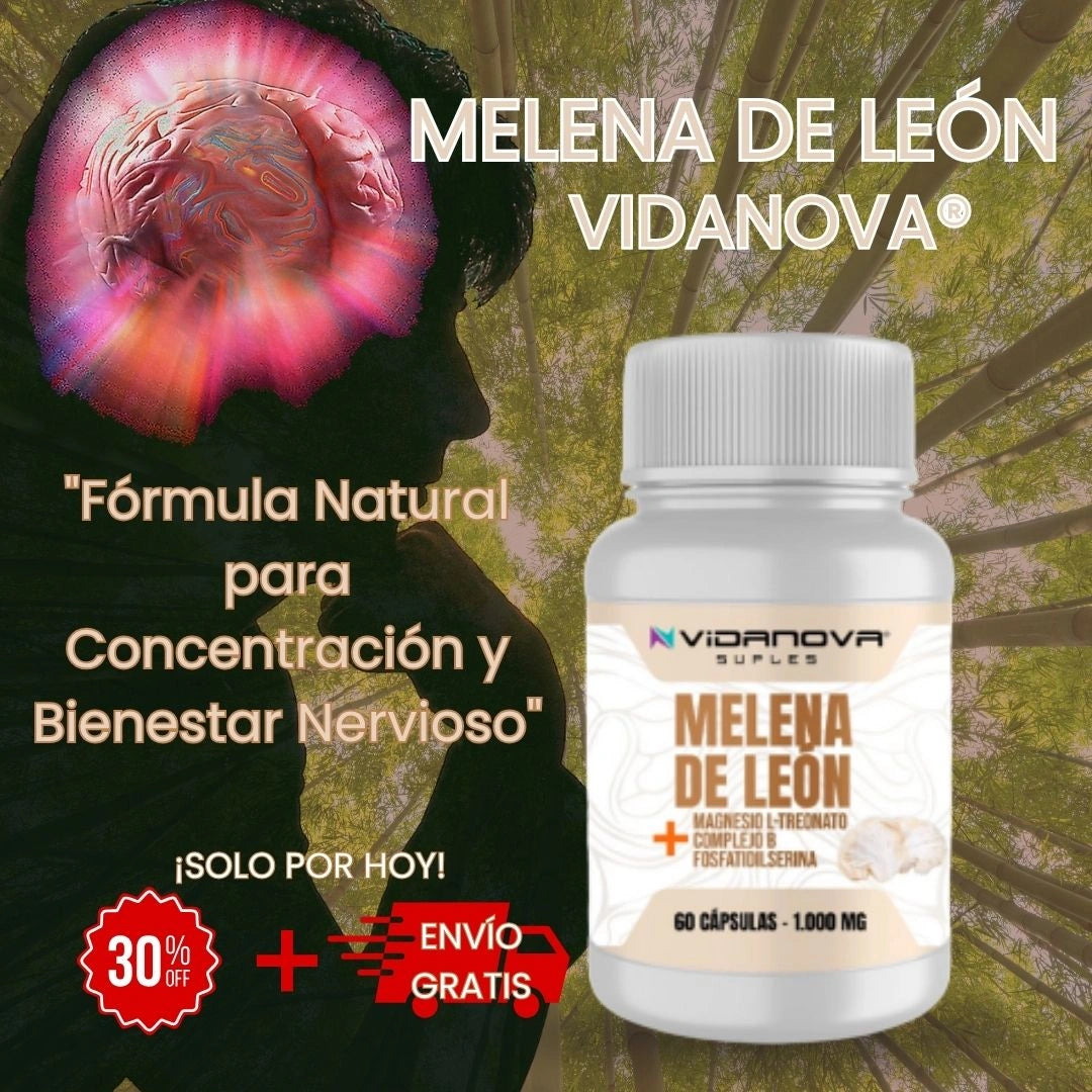 VIDANOVA® | Melena de León con L-Treonato de Magnesio